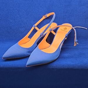 Stylish Blue  Pointed Heels